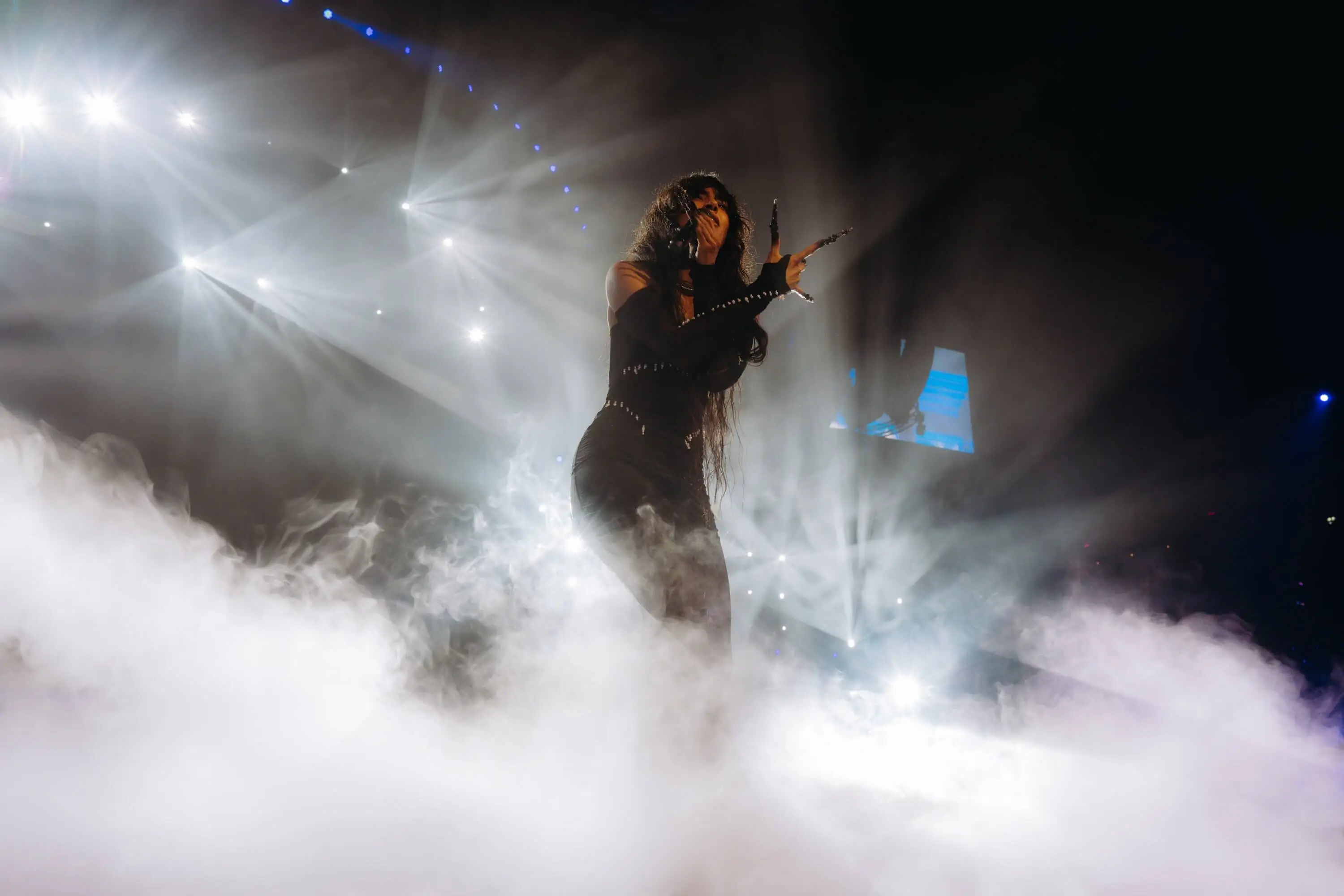 Het Grote Songfestivalfeest 2024